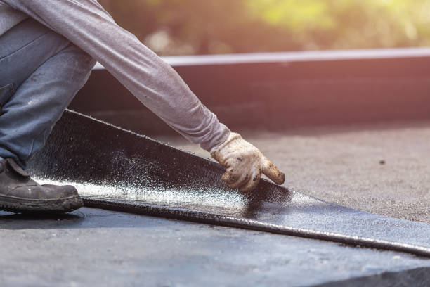 Professional Basement Waterproofing technician working in Whiskey Creek, FL